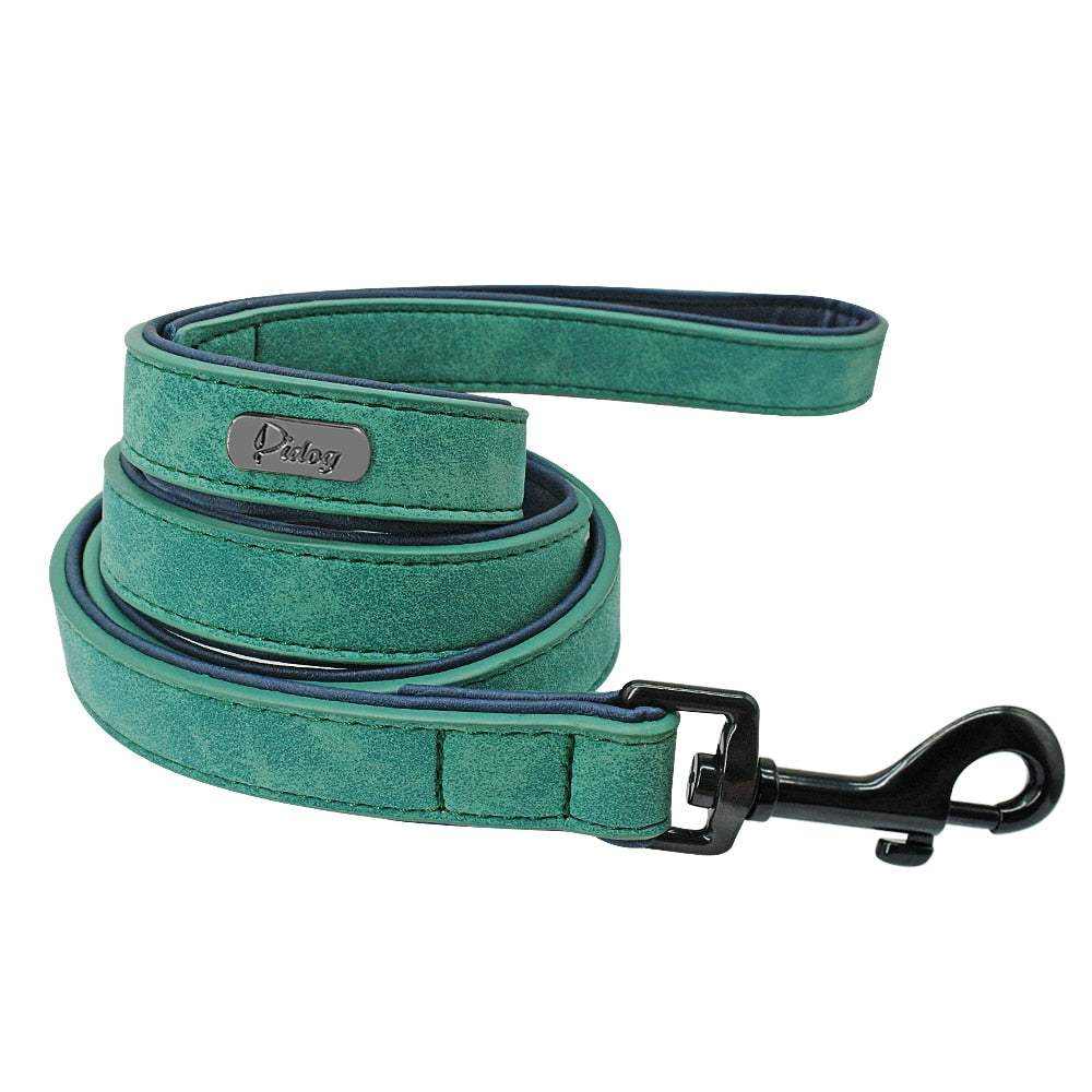 Collier en cuir vert rembourré pour chien avec plaque inox personnalisée et attache solide