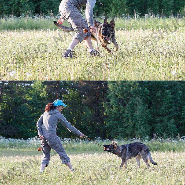 Chien jouant avec balle d’exercice orange en caoutchouc naturel avec corde en nylon dans un parc verdoyant.