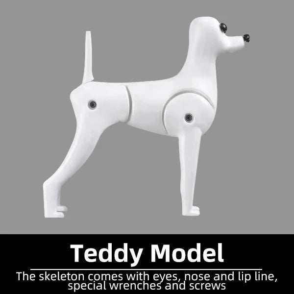 Modèle de chien factice professionnel blanc articulé pour toilettage et pratique réaliste