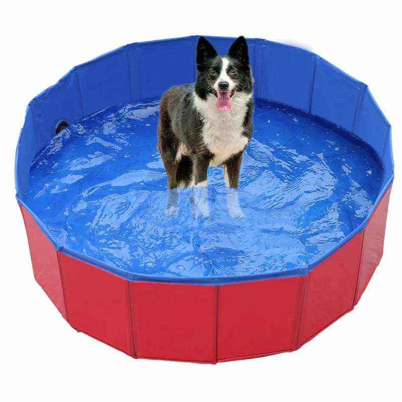 Piscine portable pour chiens | piscine pliable pour animaux | bain