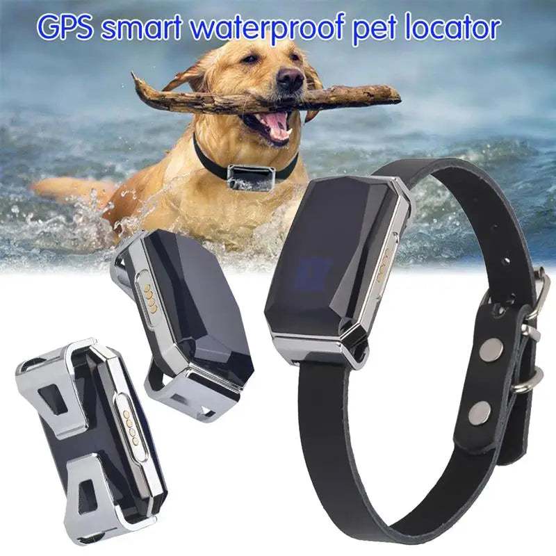 Collier GPS étanche pour chiens et chats | Localisation en temps réel