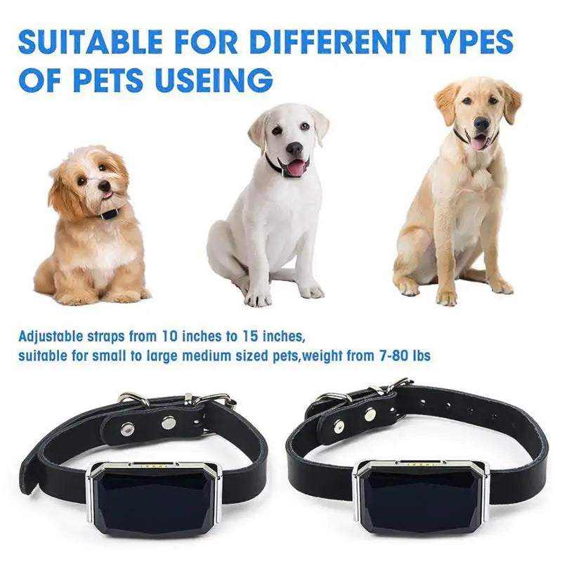 Collar GPS impermeable para perros y gatos | Seguimiento en tiempo real