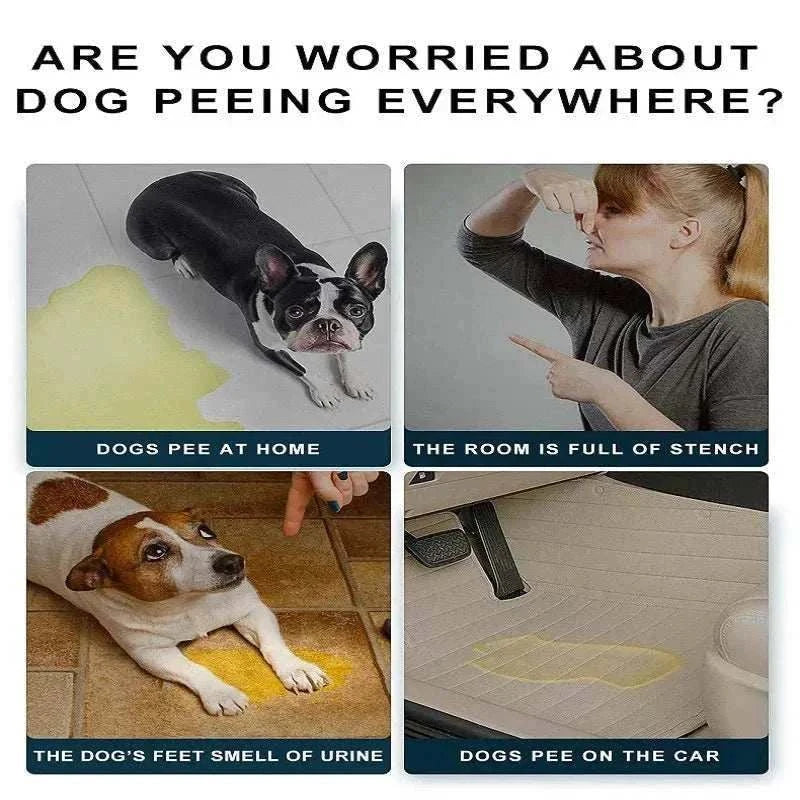 Tapis Toilette pour Chiens et Chats - Couches Jetables Absorbantes