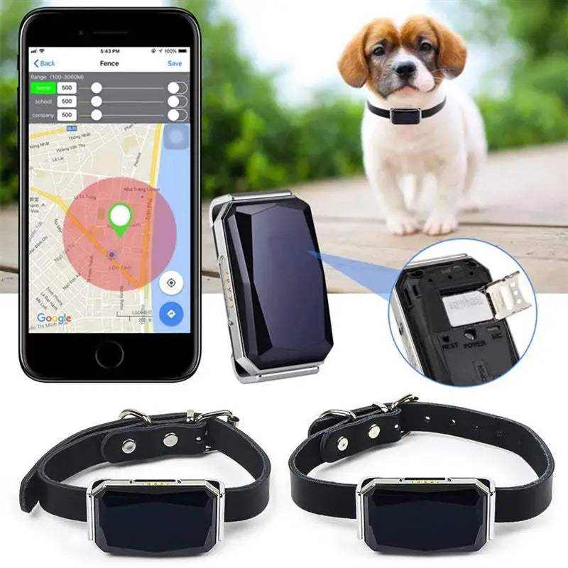 Collar GPS impermeable para perros y gatos | Seguimiento en tiempo real