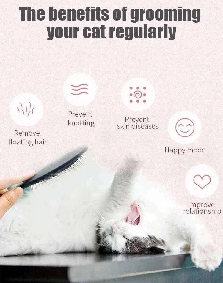 Peigne de massage professionnel Fenice pour chiens et chats, élimine poils morts et démêle doux