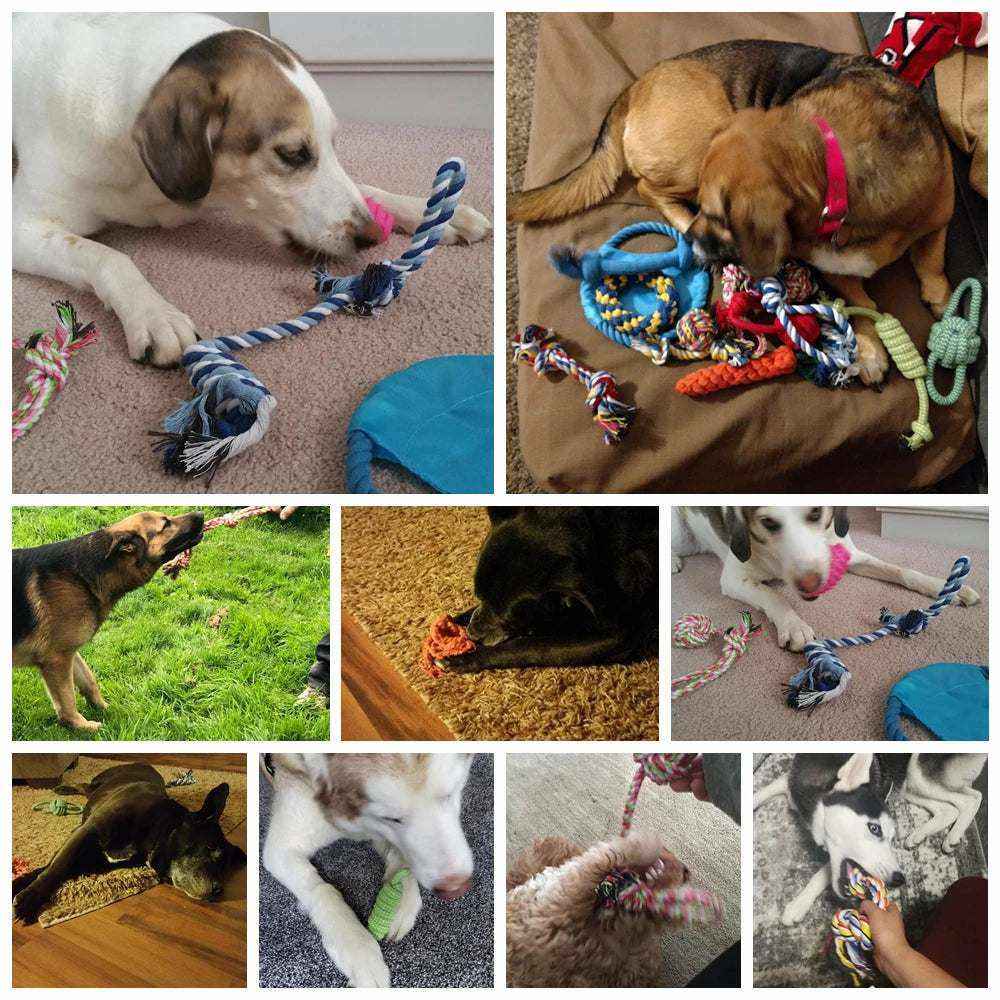 Lot de 12 jouets en corde robustes pour chiens, jeux interactifs adaptés à toutes tailles, favorisant santé dentaire et stimulation.