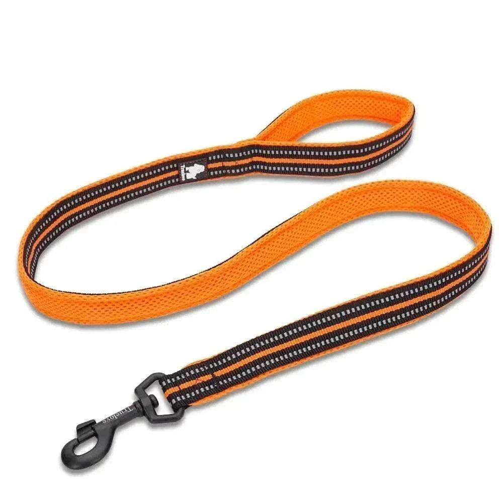 Laisse chien Truelove 110 cm en nylon orange rembourrée avec coutures réfléchissantes 3M et crochet pivotant en zinc durable