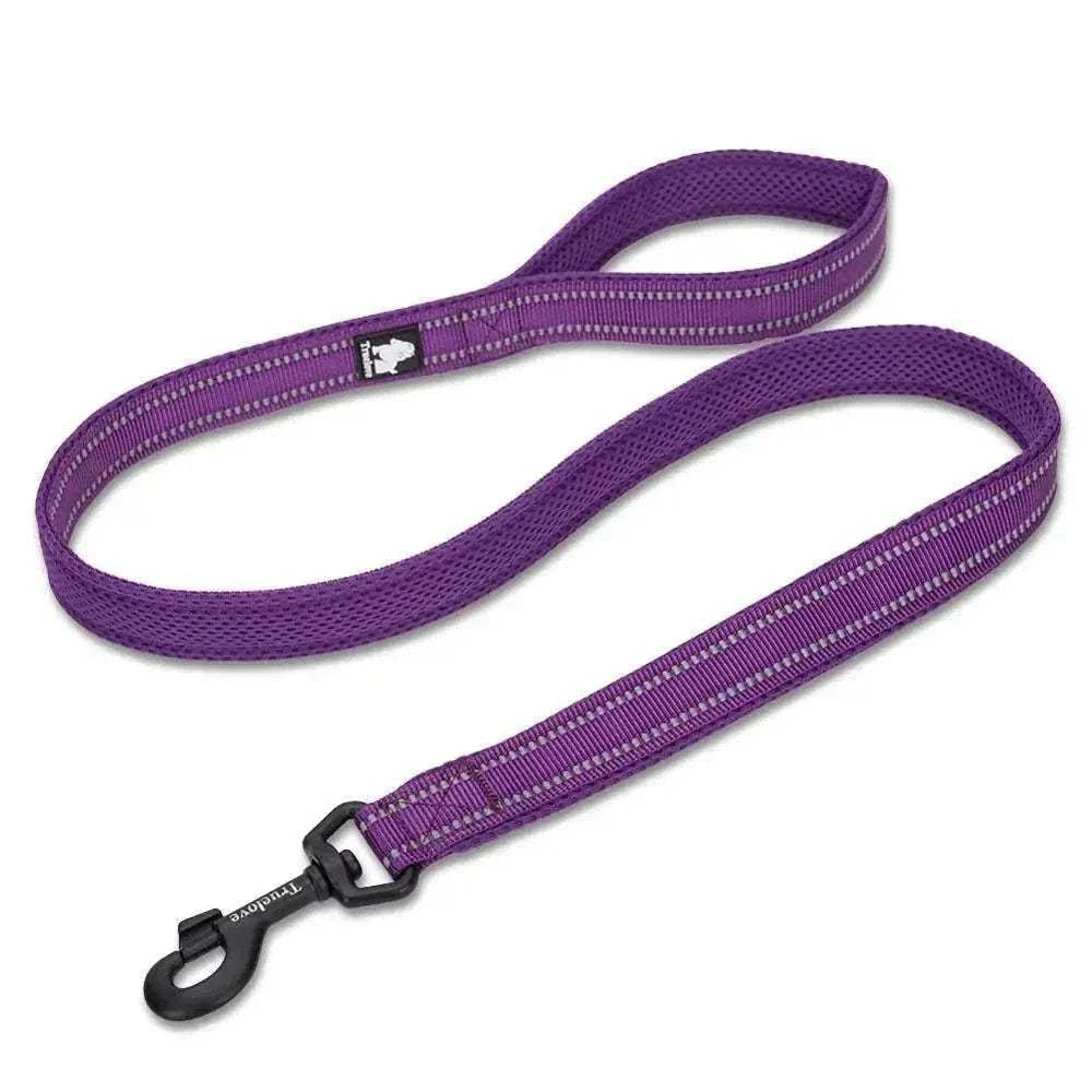 laisse chien rembourrée 110 cm Truelove nylon avec coutures réfléchissantes 3M pour sécurité et confort promenade