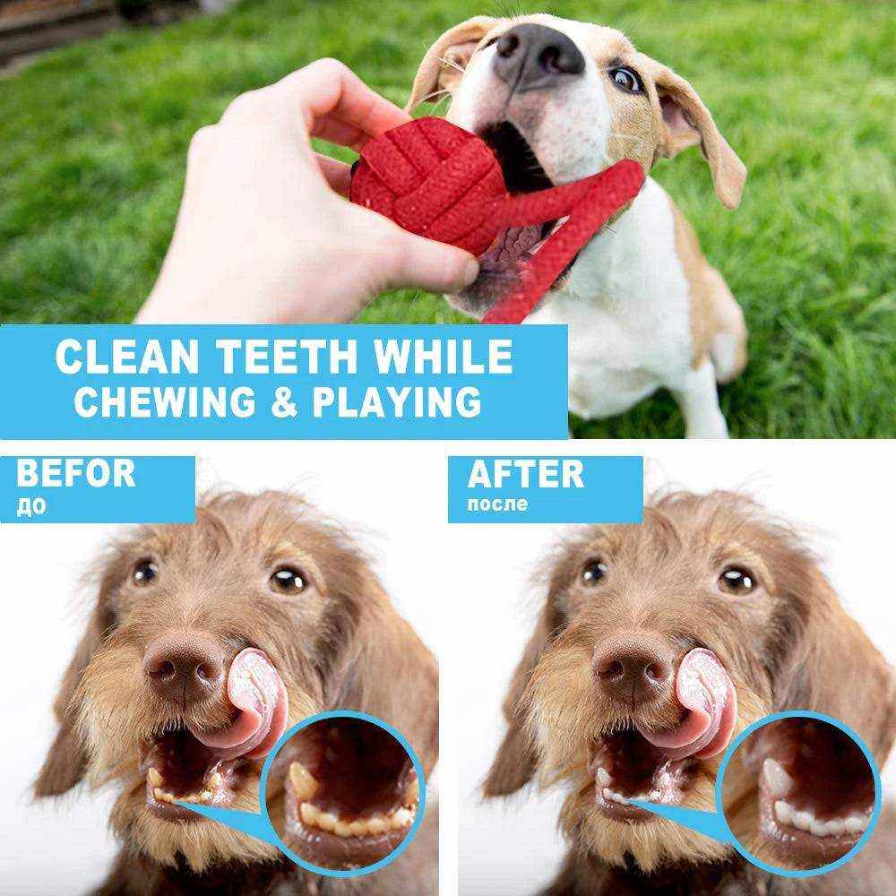 chien jouant avec jouet en corde rouge pour renforcer dents et mâchoire, lot de 12 jouets durables pour chiens de toutes tailles