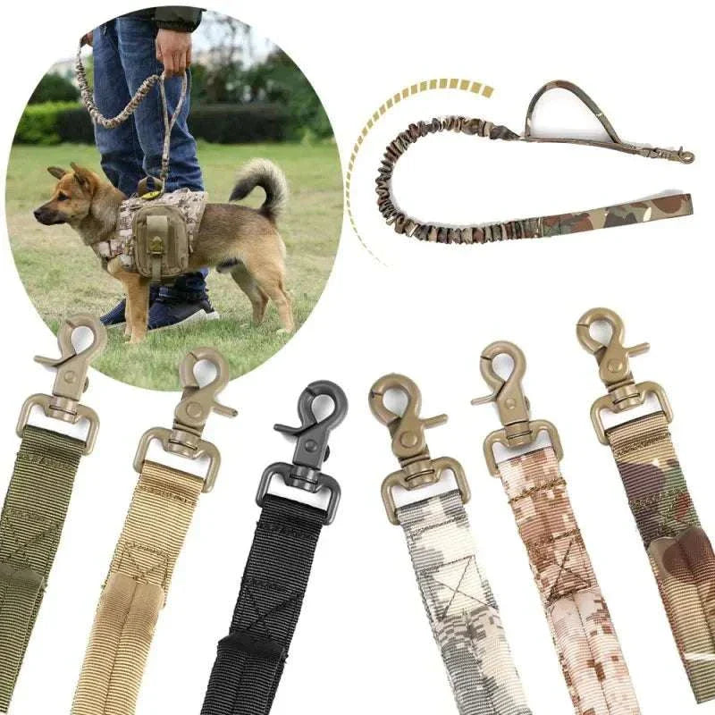 Tactical nylon dog leash for training and hunting, robust and adjustable with military buckle.