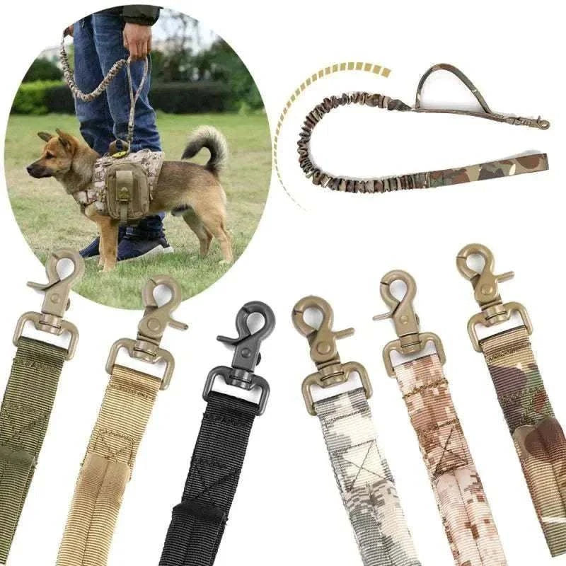 Tactical nylon dog leash for training and hunting, robust and adjustable with military buckle.