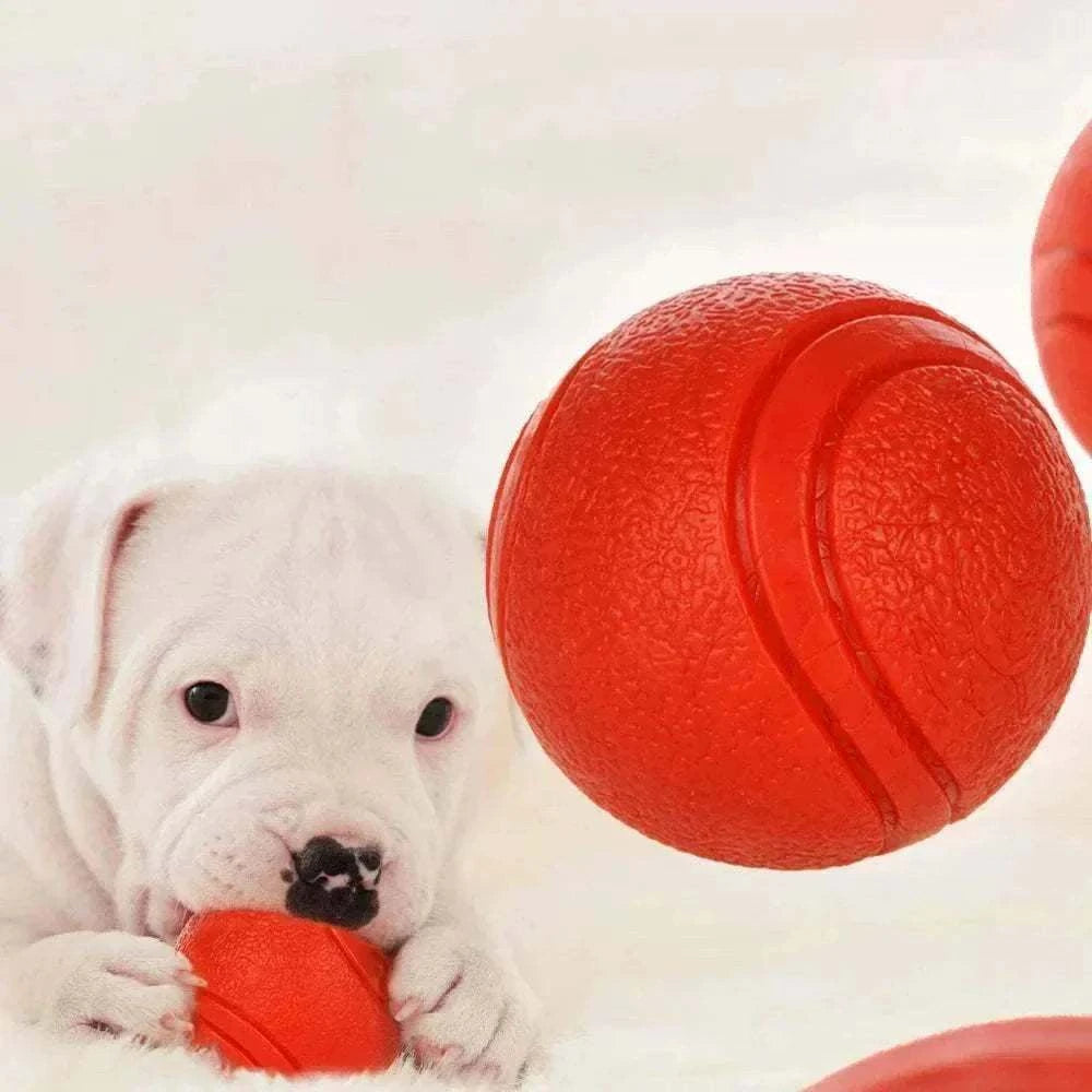 Chiot blanc jouant avec balle en caoutchouc rouge ultra-résistante pour chien HOOPET, jouet interactif et nettoyage dentaire.