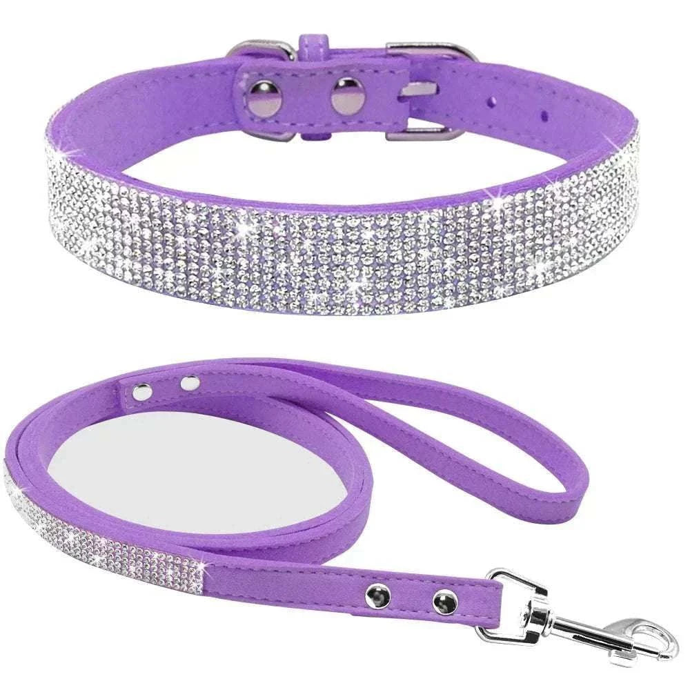 Collier et Laisse pour Animaux | Violet