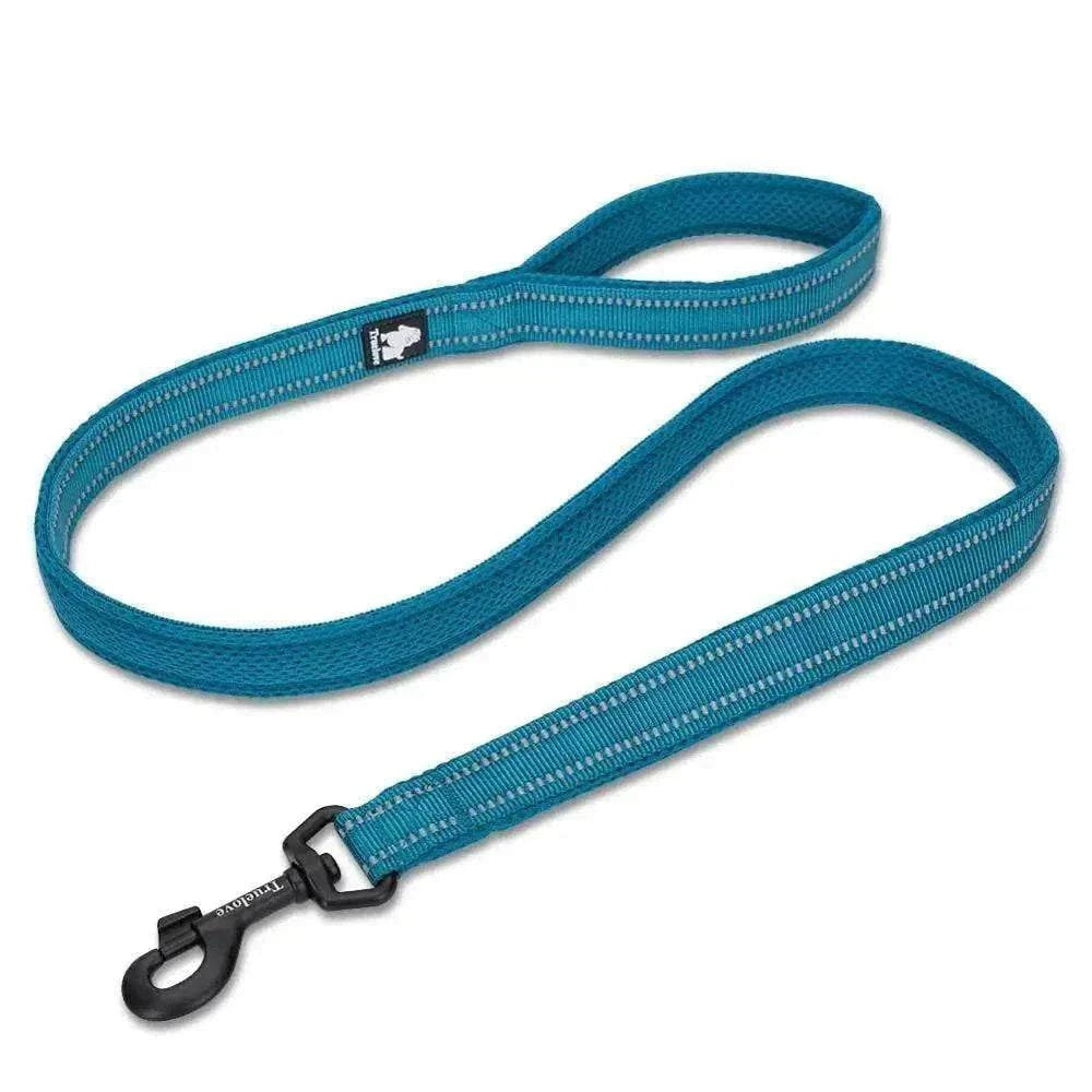 laisse chien 110 cm rembourrée bleu avec coutures réfléchissantes 3M et crochet pivotant zinc robuste confortable et sécurisée Truelove