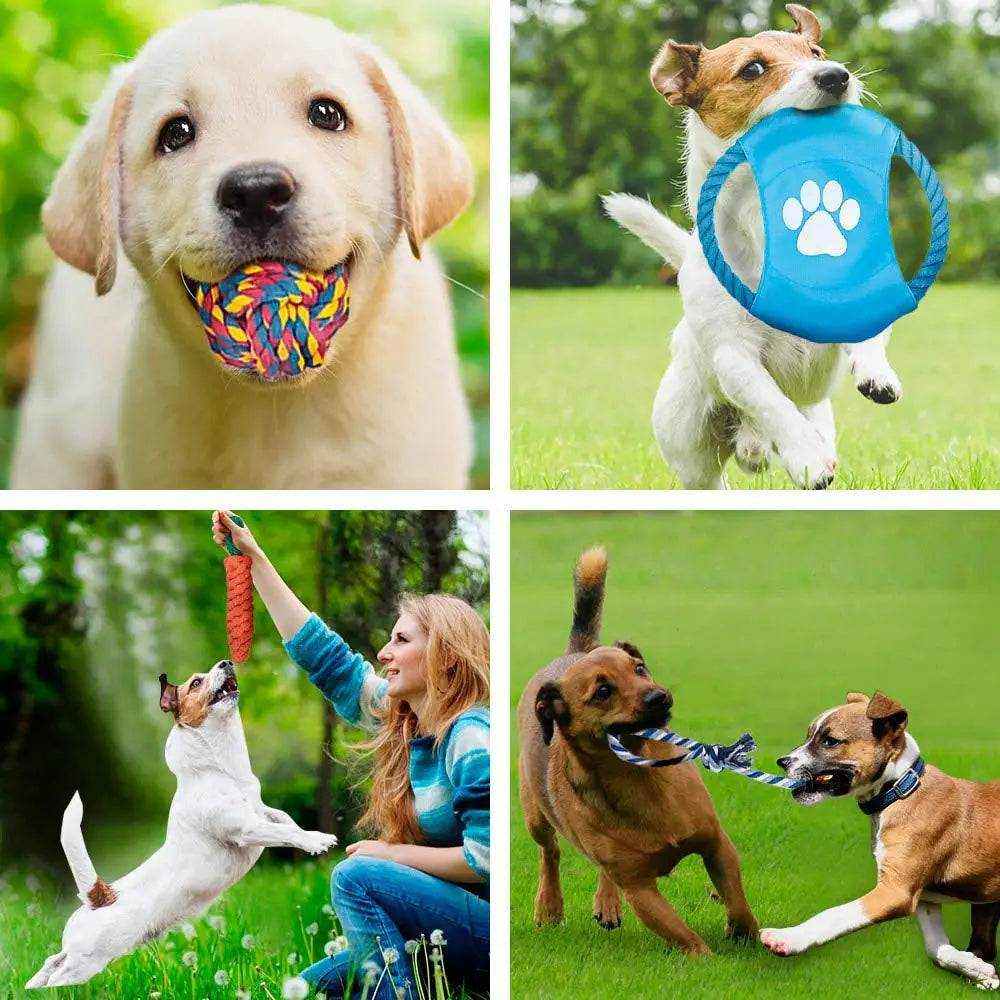Lot de 12 jouets en corde pour chiens, durables et interactifs pour mâchage et jeu extérieur et intérieur.