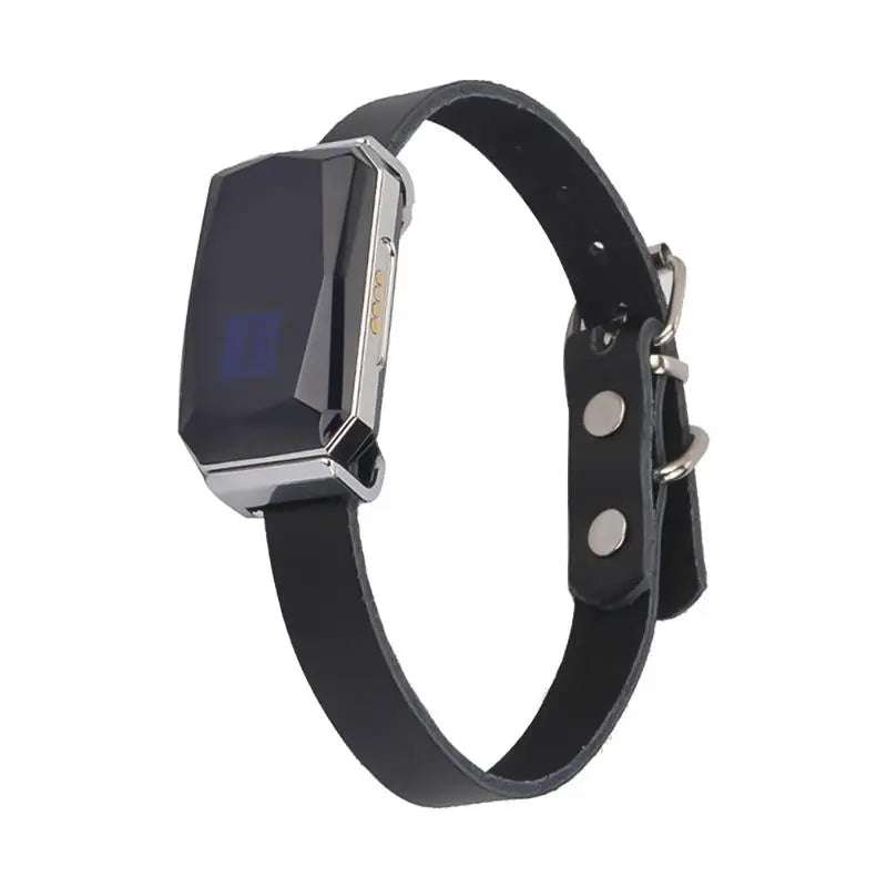 Collier GPS étanche pour chiens et chats | Localisation en temps réel
