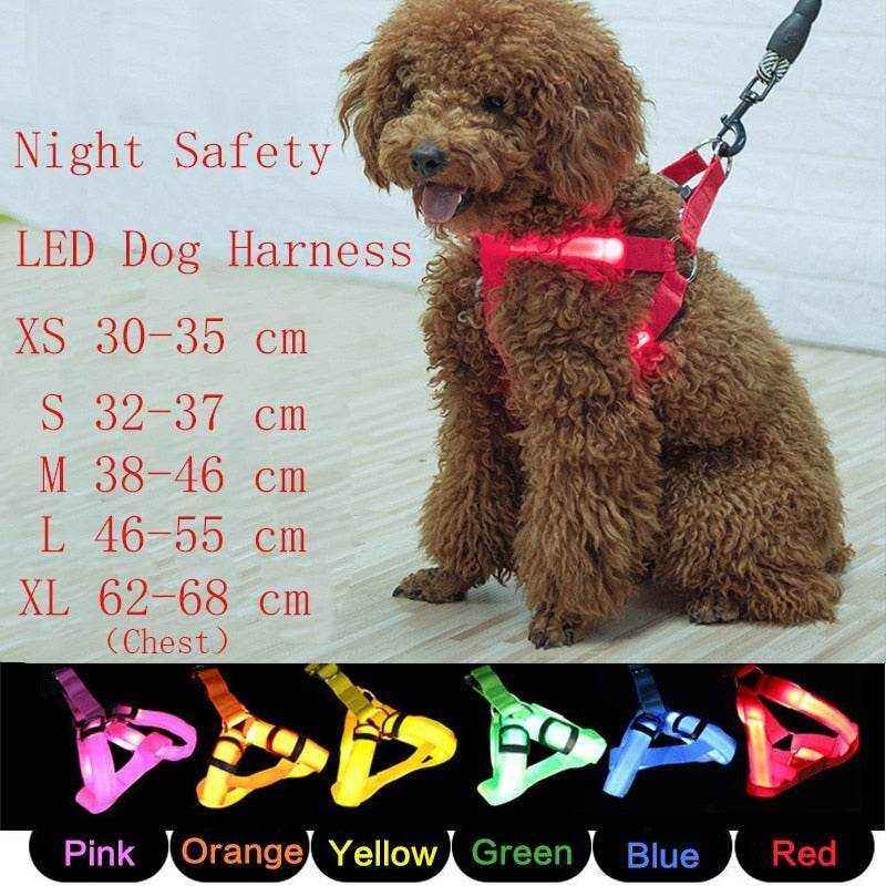 Arnés con luz LED para perros y gatos: visibilidad, seguridad y comodidad