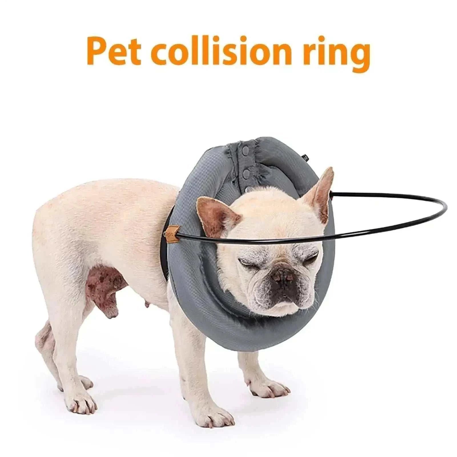 Chien portant un harnais protecteur avec collier guide anti-collision réglable et réfléchissant pour chiens aveugles ou malvoyants