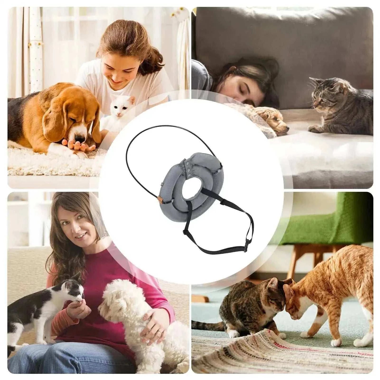 harnais protecteur réglable avec collier guide anti-collision pour chiens aveugles noir réfléchissant