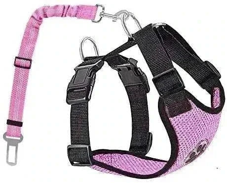 Harnais de sécurité réglable pour chiens avec maille respirante et ceinture de sécurité élastique.