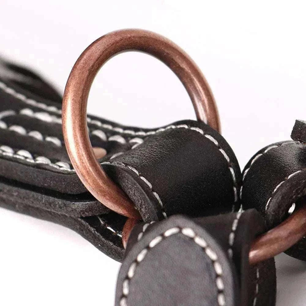 Harnais en cuir véritable noir pour chiens moyens et grands avec rivets et accessoires métalliques robustes pour promenade et dressage