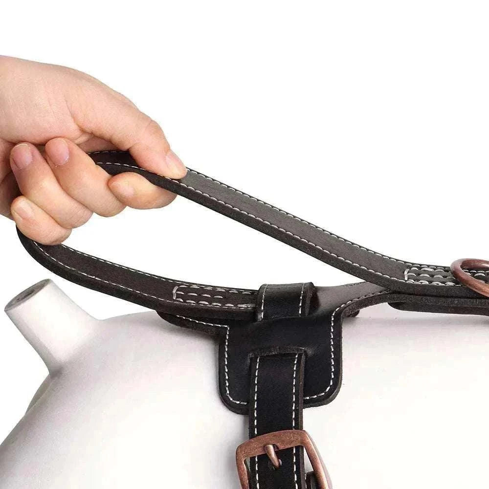 harnais en cuir véritable noir pour chiens moyens et grands avec bouclerie métallique robuste et sangles ajustables pour promenade et dressage