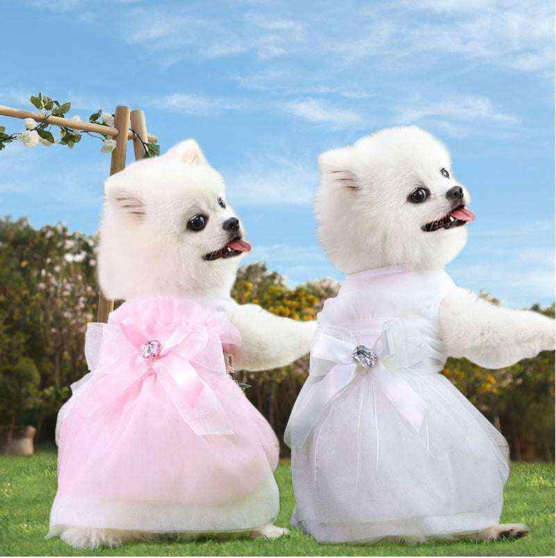 Robe florale élégante pour chiens et Chats | Vêtement de Princesse | Dentelle