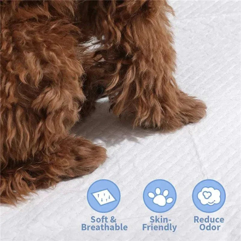 Tapis Toilette pour Chiens et Chats - Couches Jetables Absorbantes