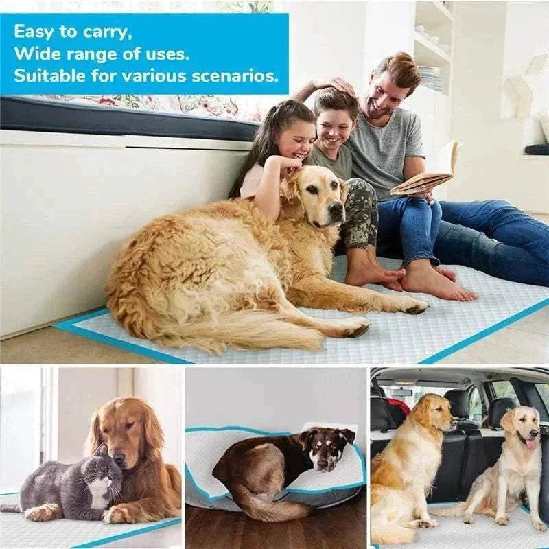 Tapis Toilette pour Chiens et Chats - Couches Jetables Absorbantes