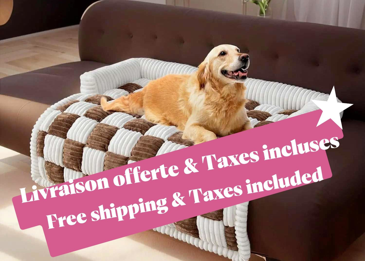 Golden retriever allongé confortablement sur un coussin à carreaux brun et blanc, posé sur un sofa dans un salon lumineux et moderne.