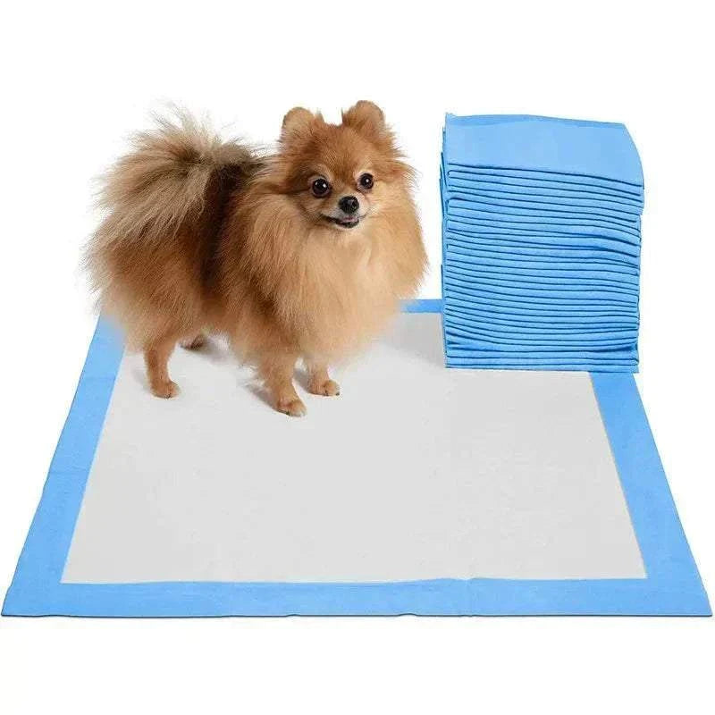 Tapis toilette jetable absorbant pour chiens et chats, imperméable et séchage rapide.