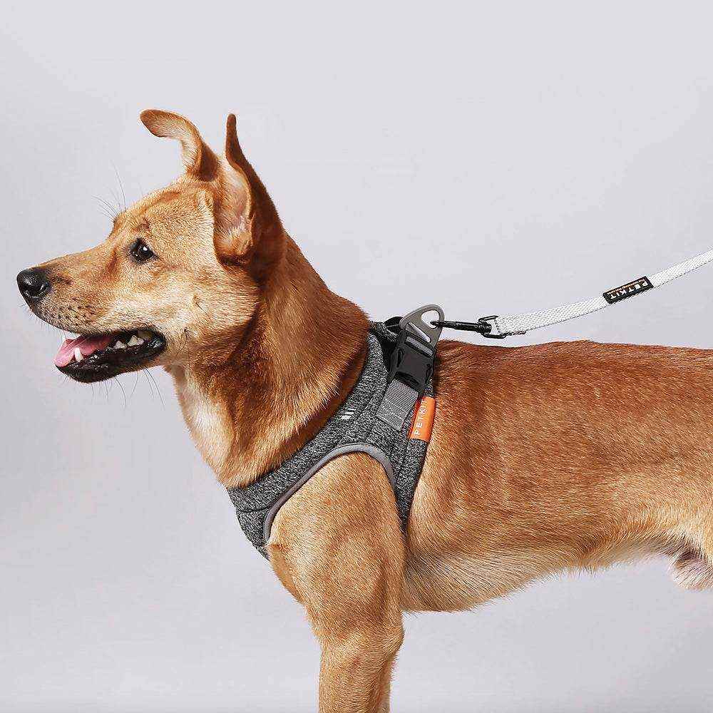 Harnais pour Chien INSTACHEW PETKIT Air Pro - Confort et Sécurité