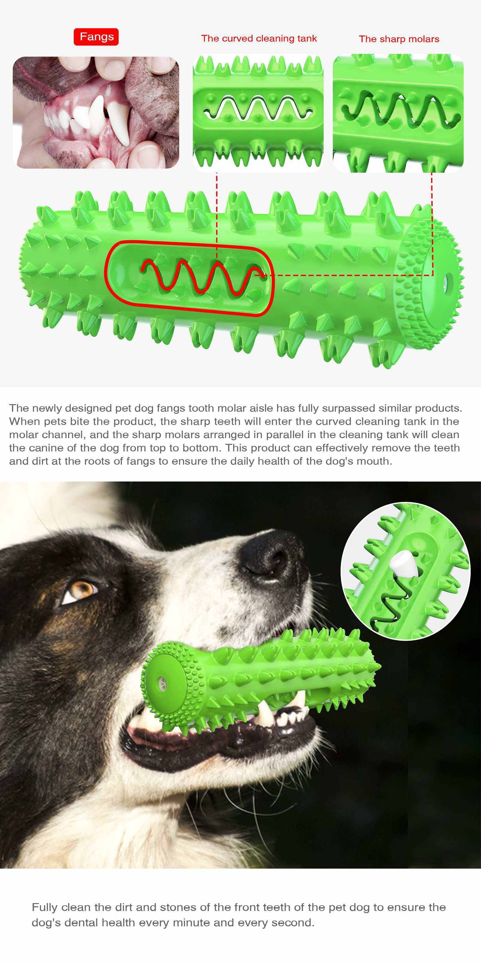 Jouet de dentition vert en TPR pour chien avec picots nettoyants et effet sonore stimulant, idéal pour hygiène dentaire et divertissement