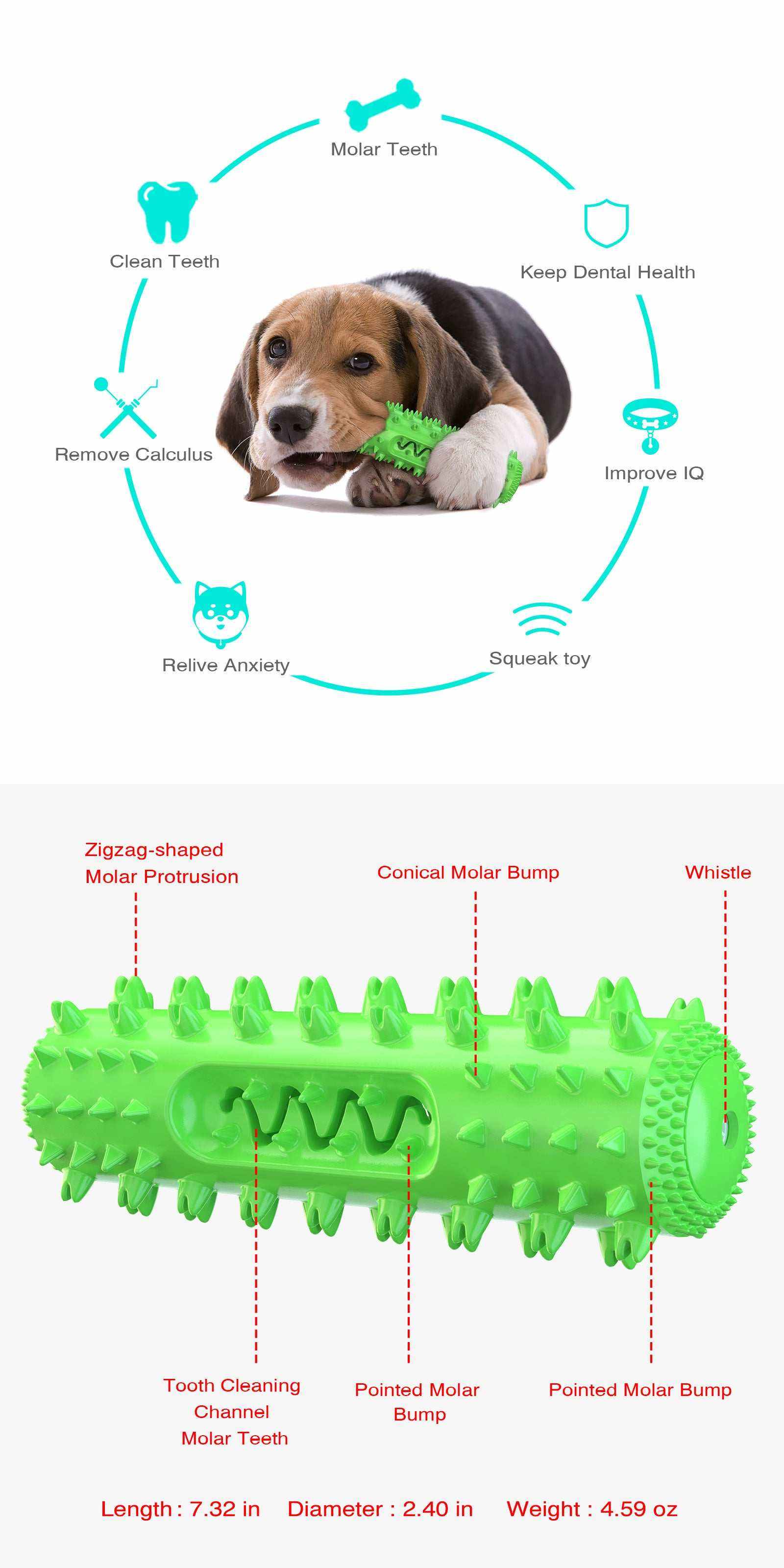 Jouet de dentition vocal vert pour chien avec picots nettoyants et effet sonore stimulant le jeu et l’hygiène dentaire.