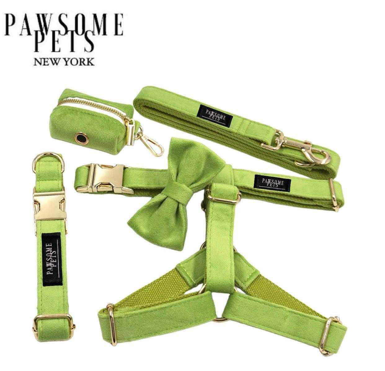 Kit de marche complet chien vert avec harnais, laisse, collier, nœud papillon et distributeur de sacs.