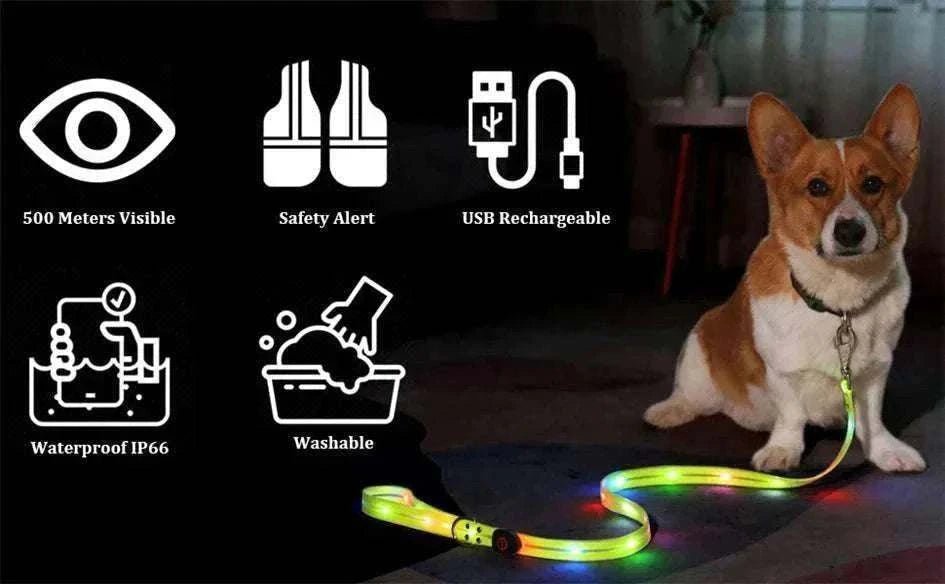 laisse et collier LED pour chien, sécurité nocturne, imperméable, rechargeable USB, visibilité jusqu’à 500 mètres, lavable, adaptée à toutes tailles de chiens