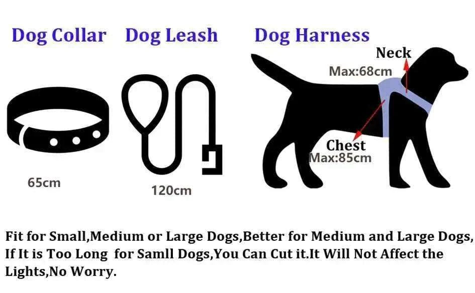 Collier et laisse LED pour chien, longueur réglable, haute visibilité pour sécurité nocturne, résistants à l'eau et rechargeables par USB.
