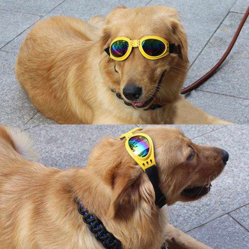 Lunettes de Soleil pour chiens & chats | Protection UV & style tendance