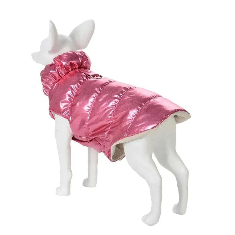 Manteau d’Hiver Imperméable pour Chien & Chat | Chaud, Coupe-Vent & Col Roulé