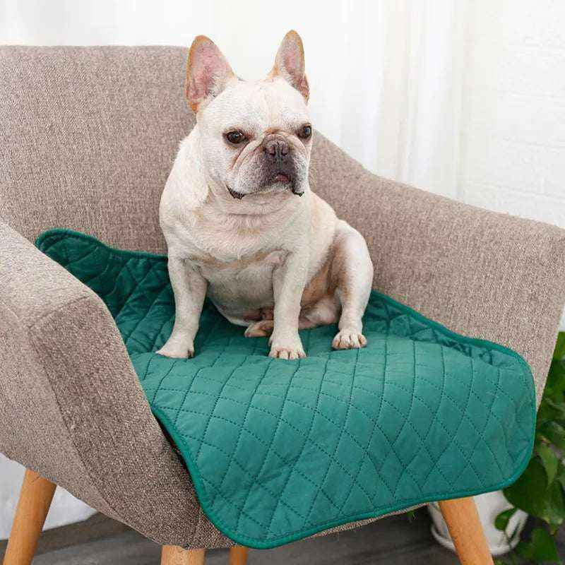 Chien assis sur tapis absorbant en fibre de bambou vert sur fauteuil gris, protection hygiénique et confortable pour animaux