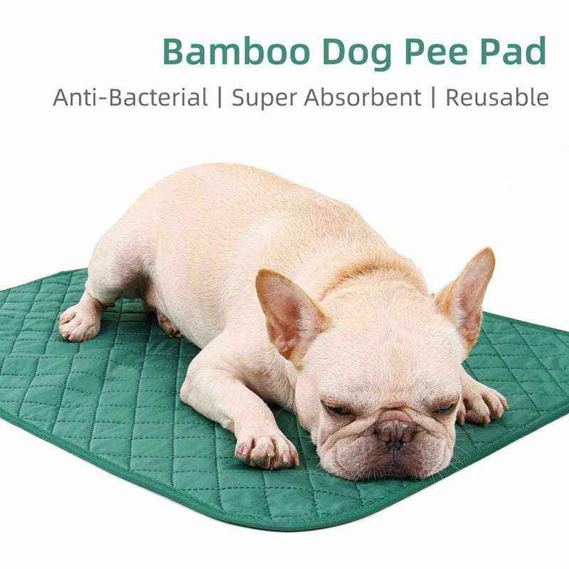 Tapis absorbant en fibre de bambou vert avec chien couché, anti-odeur et réutilisable pour chiens et chats