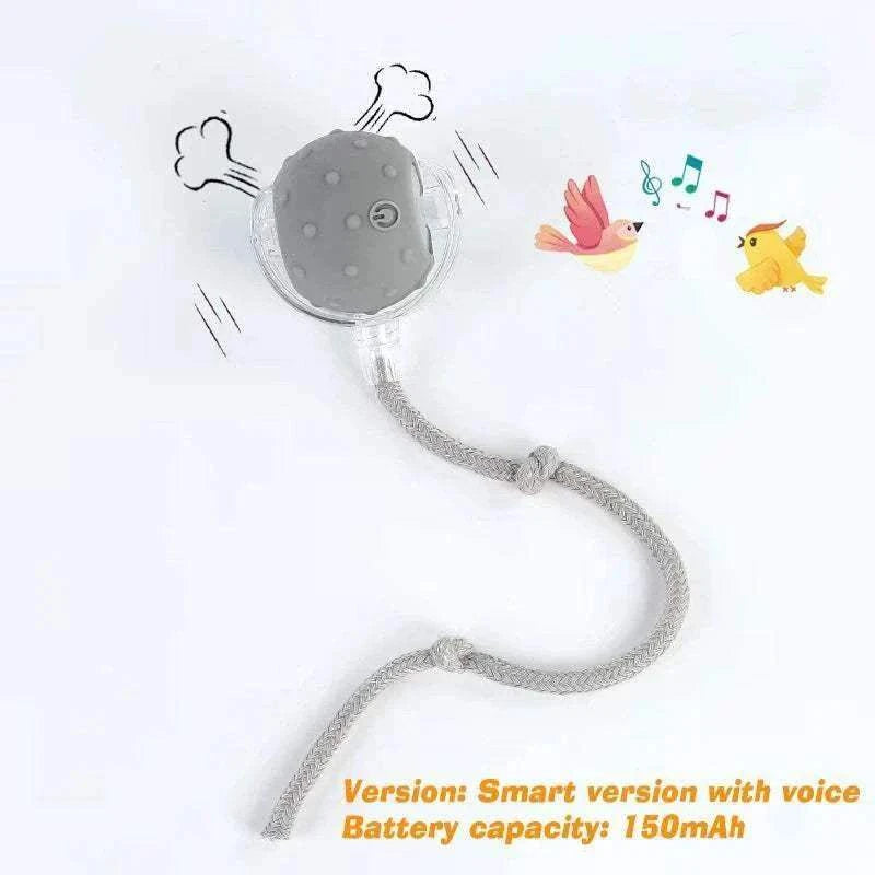 Balle interactive pour chiens grise, sonore et lumineuse - jouet durable rechargeable