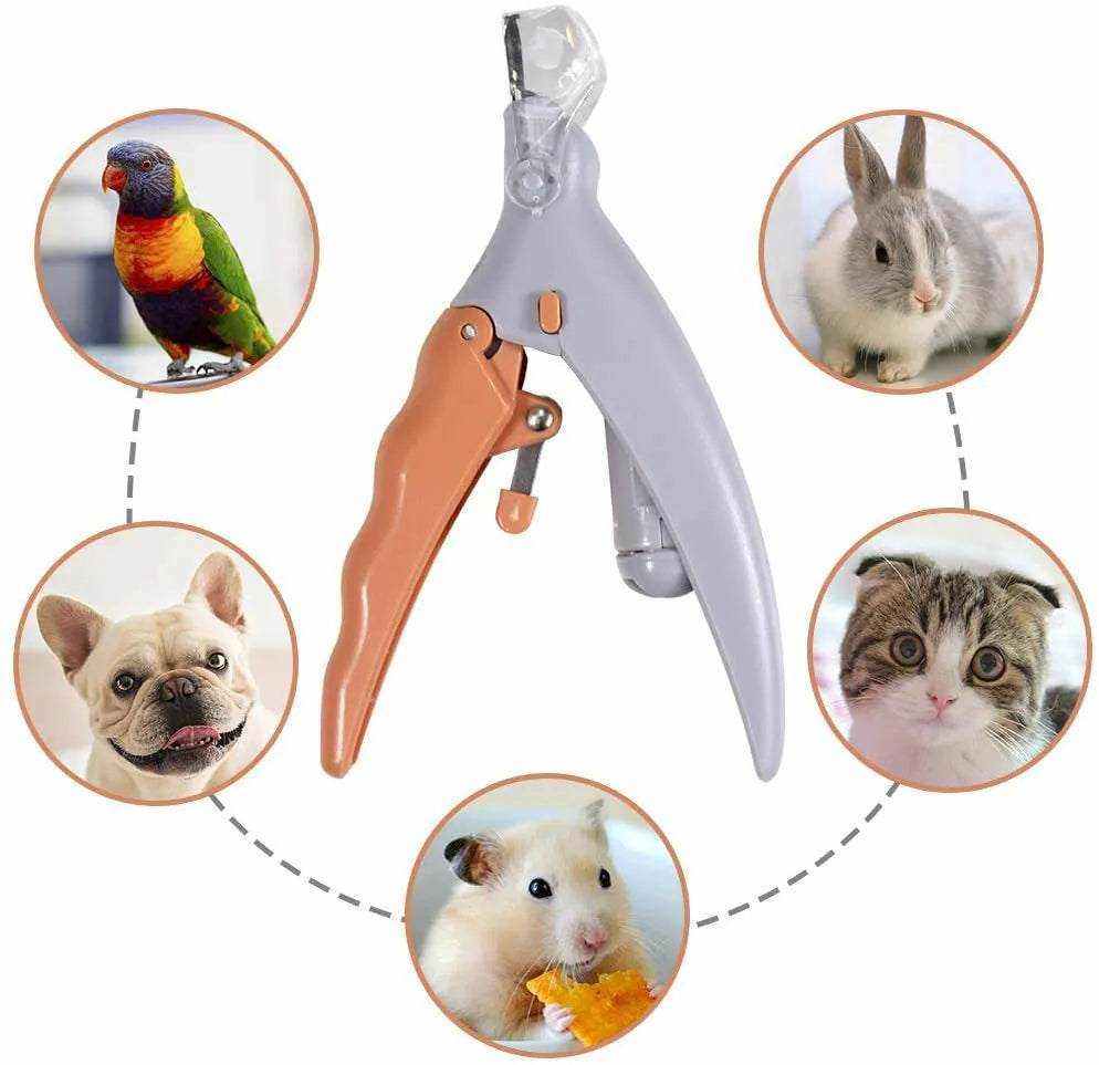Coupe-griffes LED pour animaux avec lame acier inoxydable et poignée ergonomique, adapté chiens, chats, lapins, hamsters et oiseaux.