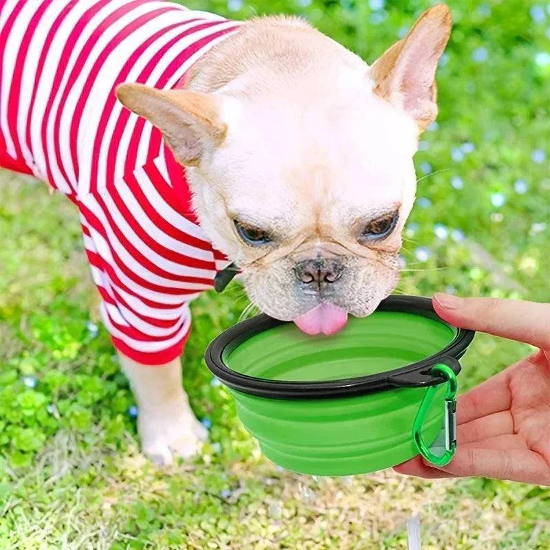 Bol pliable en silicone vert avec mousqueton, chien buvant lors d'une sortie en plein air