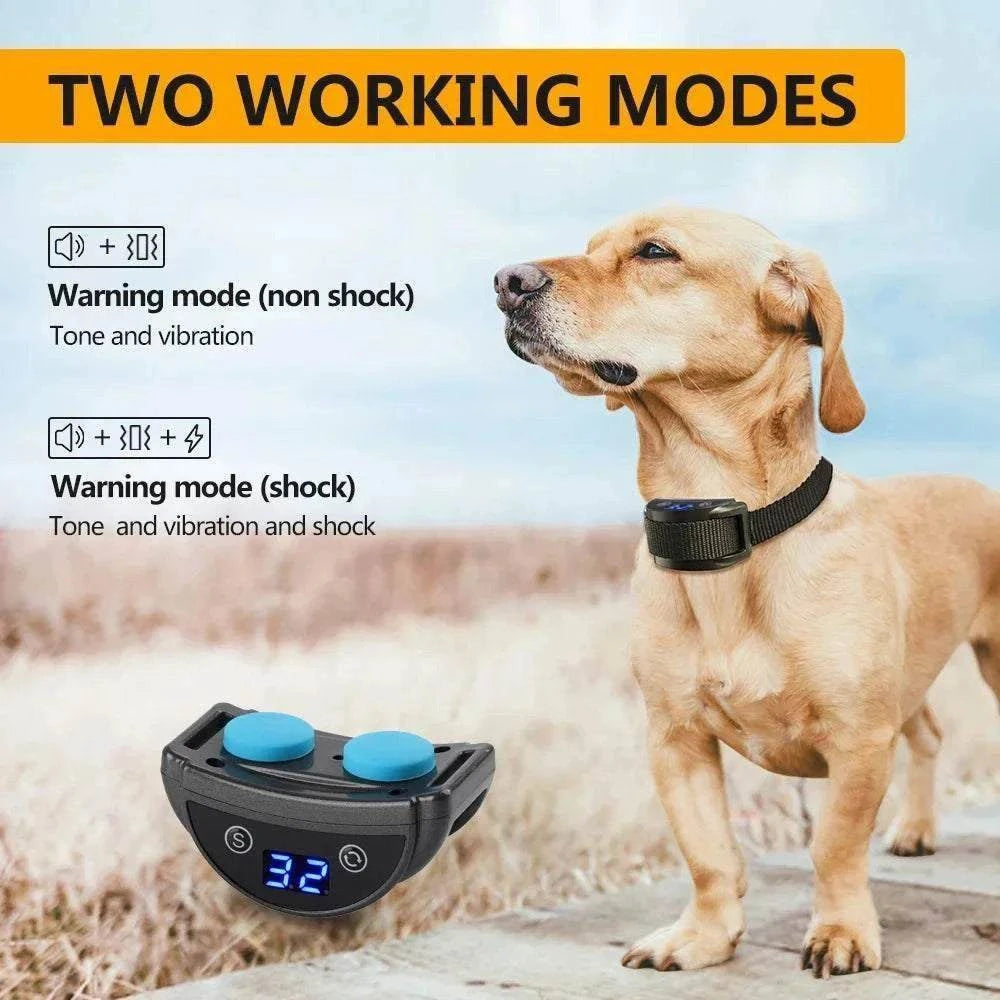 Collier Anti-Aboiement pour Chiens | Rechargeable, Étanche & Intelligent
