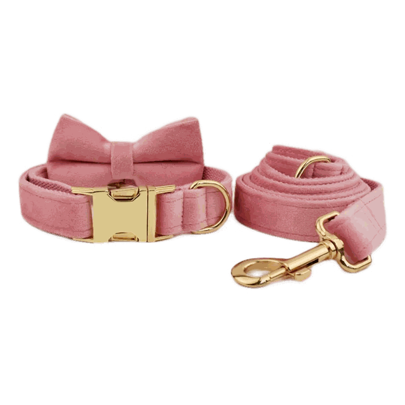 collier en velours rose personnalisable pour chien moyen et grand avec nœud papillon et laisse assortie en métal doré sécurisée