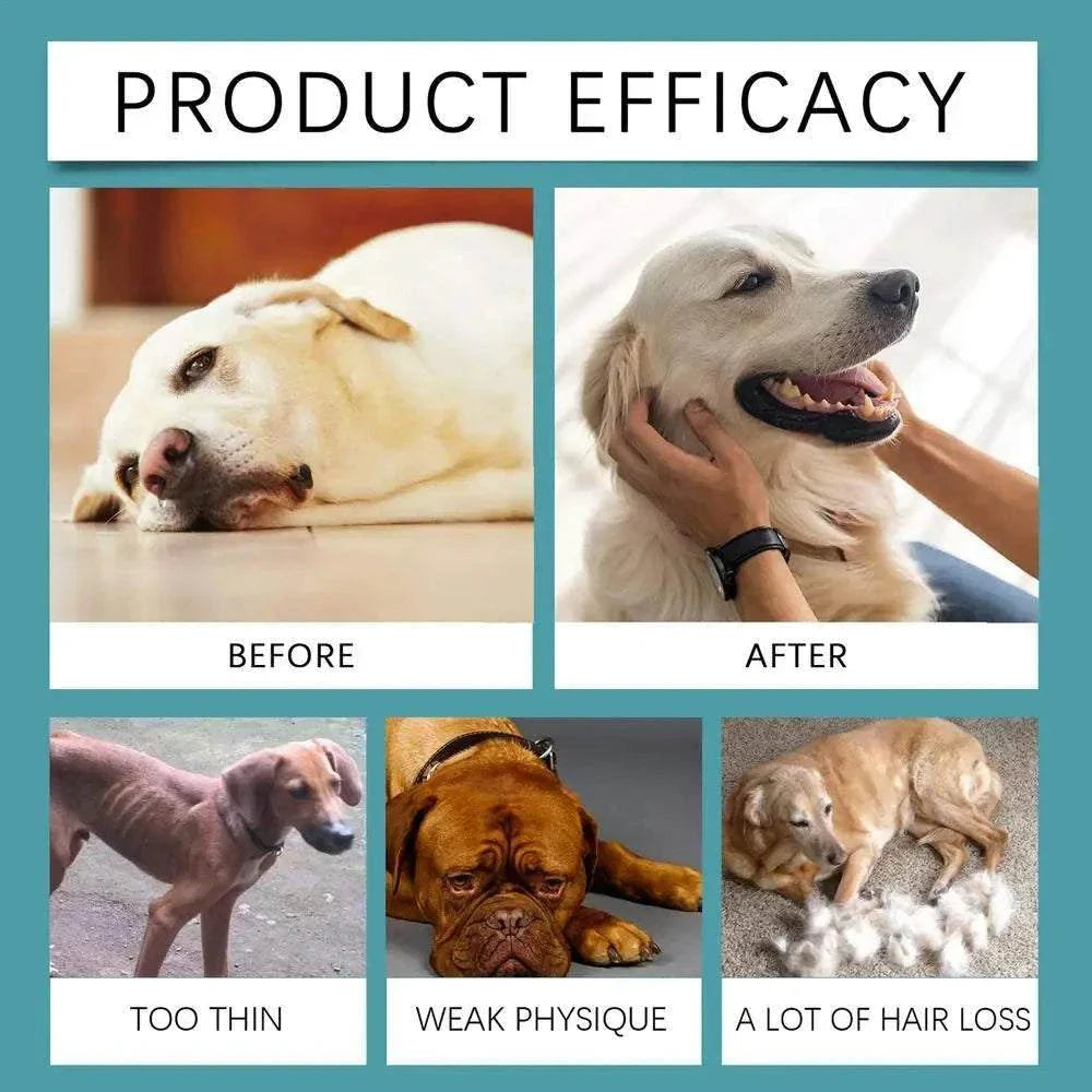 Nutritional Supplement for Dogs | Body Health Support, 30ml