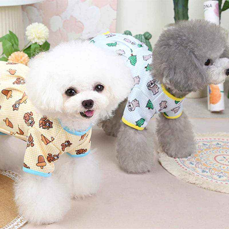 deux petits chiens portant des pyjamas colorés doux et confortables avec motifs amusants pour un style adorable