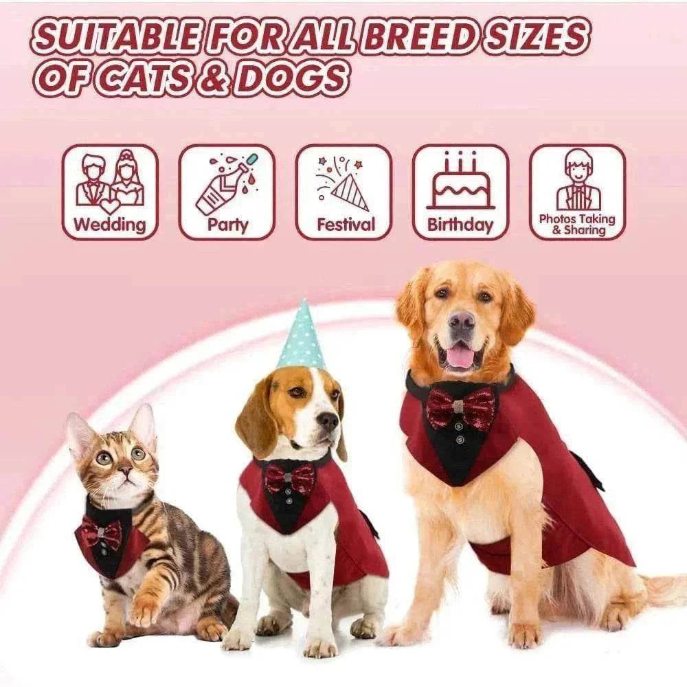 Trois animaux, un chat et deux grands chiens, portant un costume de mariage avec nœud papillon, sur fond rose avec icônes d'événements festifs.