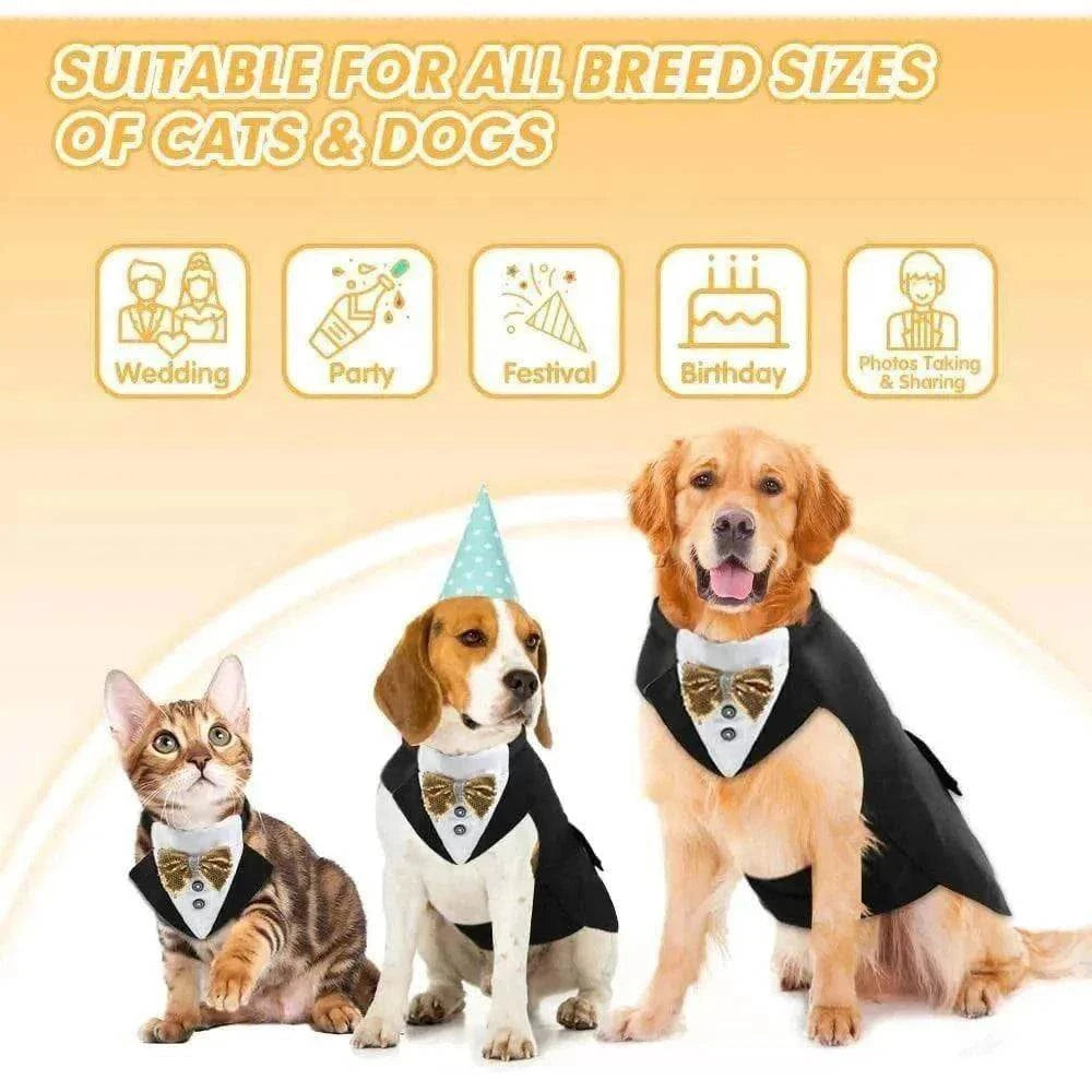 Grand chien et chat habillés en costume tuxedo noir avec nœud papillon doré pour mariage et fêtes